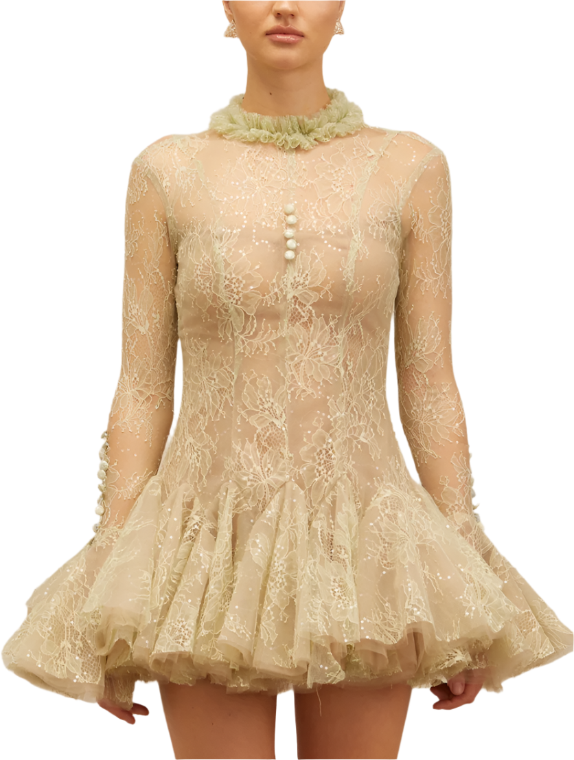 IVERNA Long Sleeve Mini Embroidered Bodycon Dress