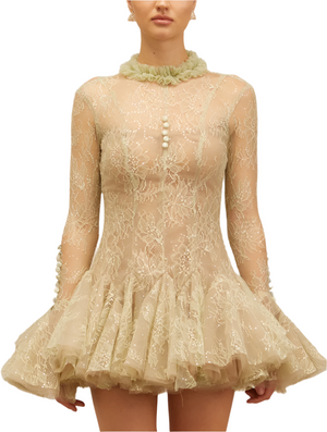 IVERNA Long Sleeve Mini Embroidered Bodycon Dress