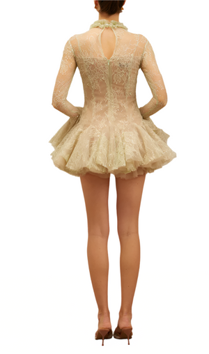 IVERNA Long Sleeve Mini Embroidered Bodycon Dress