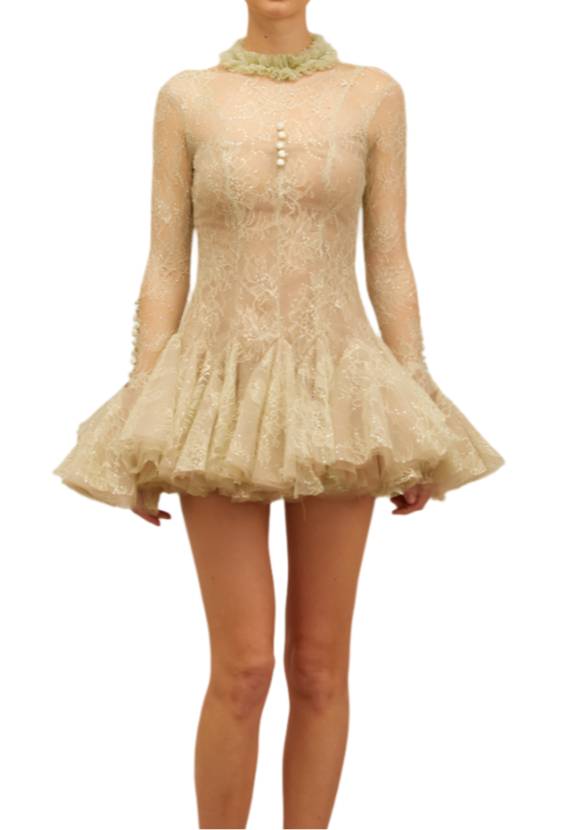 IVERNA Long Sleeve Mini Embroidered Bodycon Dress