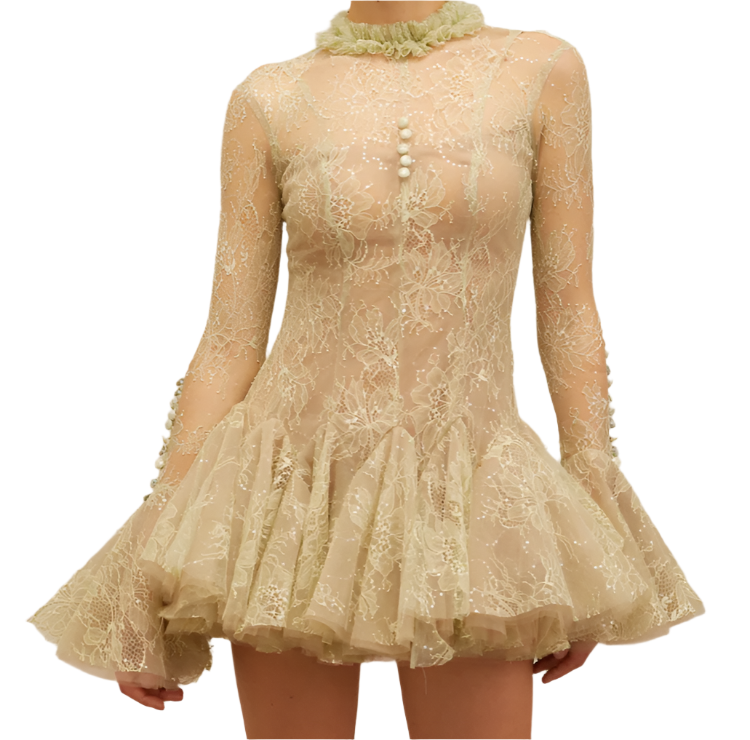 IVERNA Long Sleeve Mini Embroidered Bodycon Dress