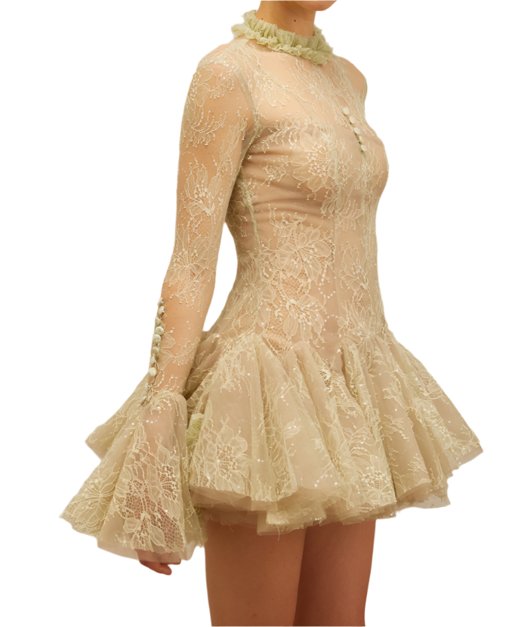 IVERNA Long Sleeve Mini Embroidered Bodycon Dress