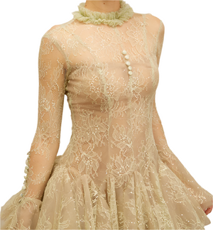IVERNA Long Sleeve Mini Embroidered Bodycon Dress