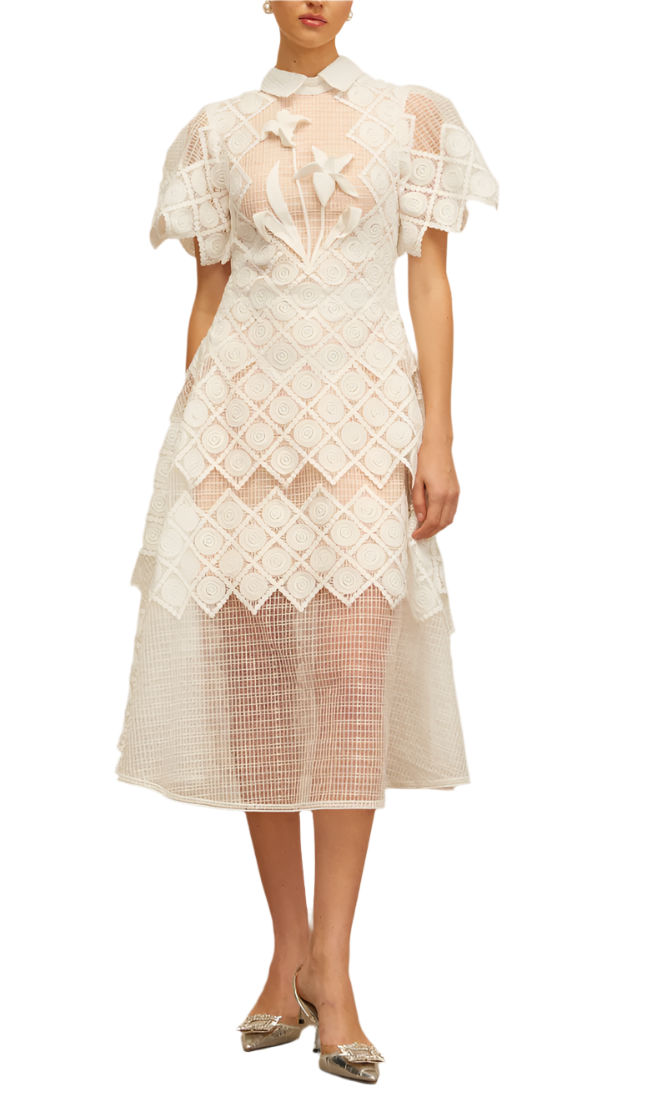 ALONA Floral Lace Midi Bodycon Dress