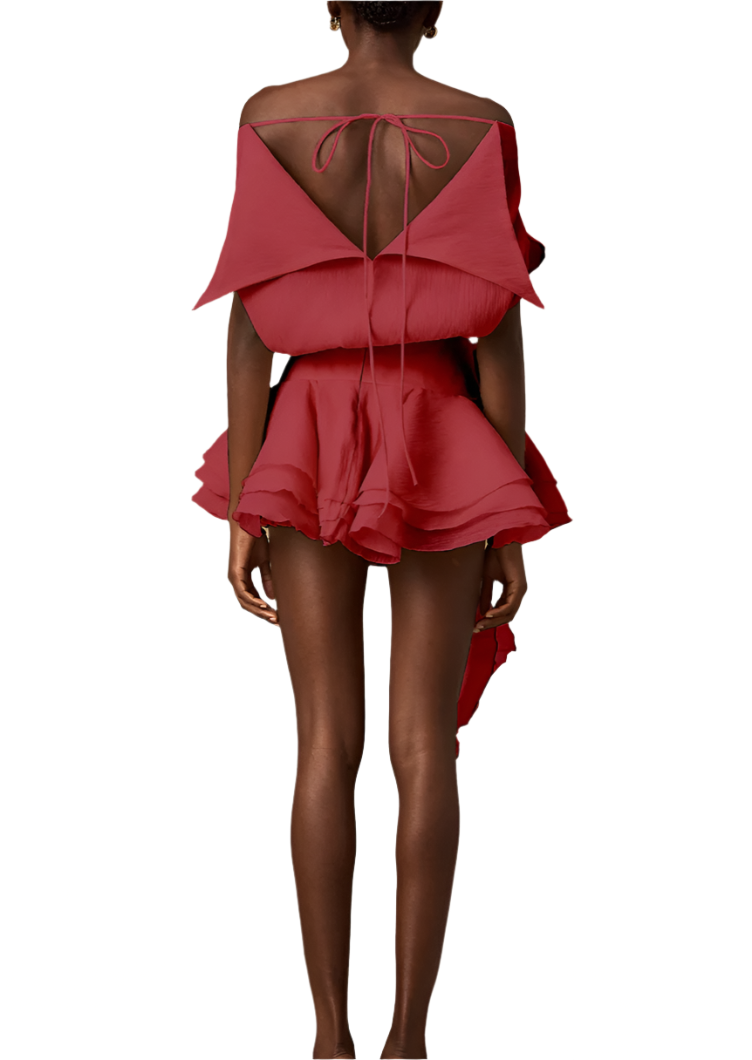 PARI FLORAL-APPLIQUÉ FLOUNCED MINI DRESS